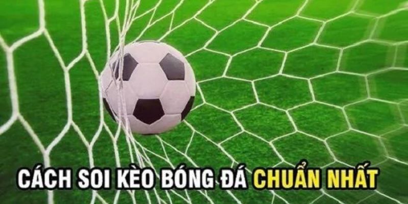 Kinh nghiệm soi kèo bóng đá có 1 0 2