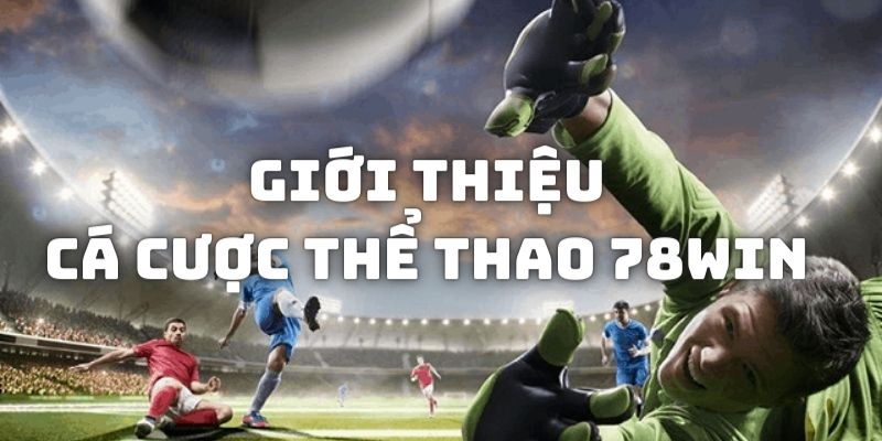 Giới thiệu đôi nét về sảnh cá cược thể thao 78WIN