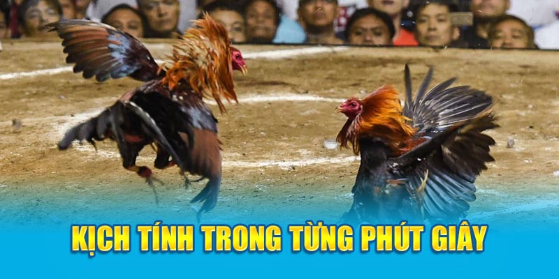 Kịch tính trong từng phút giây