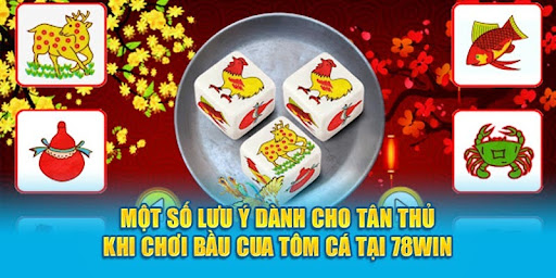 Một số lưu ý dành cho tân thủ khi chơi Bầu Cua Tôm Cá tại 78WIN